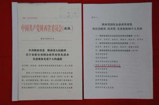 2009年2月，被陜西省委、省政府授予陜西省國有企業(yè)改革攻堅先進集體